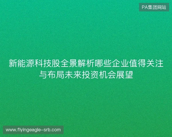 新能源科技股全景解析哪些企业值得关注与布局未来投资机会展望 新能源科技股全景解析哪些企业值得关注与布局未来投资机会展望